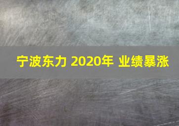 宁波东力 2020年 业绩暴涨